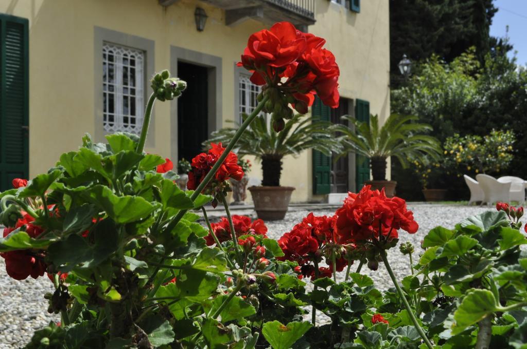 Villa Pedone Lucca Exterior photo